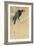 Blackbird in Snow-Koson Ikeda-Framed Art Print