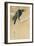 Blackbird in Snow-Koson Ikeda-Framed Art Print