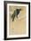 Blackbird in Snow-Koson Ikeda-Framed Art Print