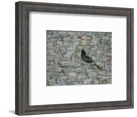 Blackbird in Tree-Ruth Addinall-Framed Giclee Print