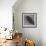 Blackbird in Wind-Tim Nyberg-Framed Giclee Print displayed on a wall