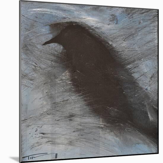 Blackbird in Wind-Tim Nyberg-Mounted Giclee Print