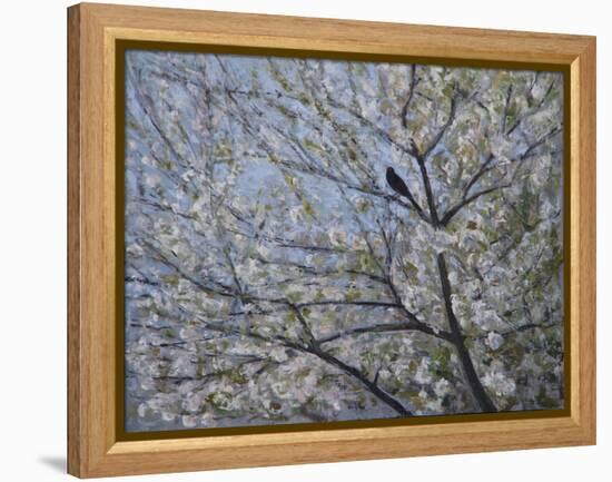 Blackbird Singing in Cherry Blossom-Ruth Addinall-Framed Premier Image Canvas
