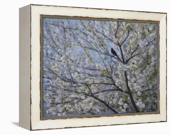 Blackbird Singing in Cherry Blossom-Ruth Addinall-Framed Premier Image Canvas