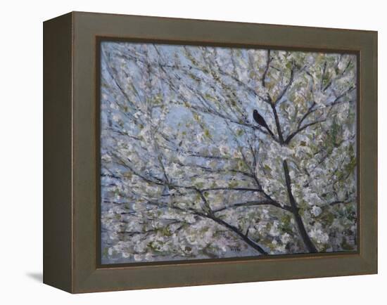 Blackbird Singing in Cherry Blossom-Ruth Addinall-Framed Premier Image Canvas