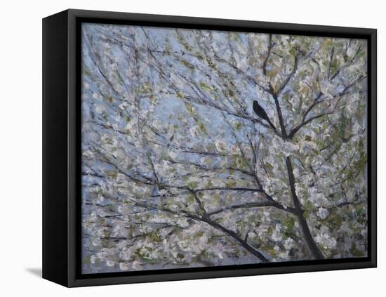 Blackbird Singing in Cherry Blossom-Ruth Addinall-Framed Premier Image Canvas