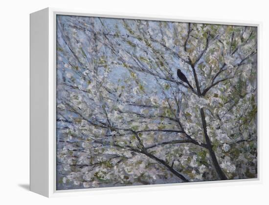 Blackbird Singing in Cherry Blossom-Ruth Addinall-Framed Premier Image Canvas