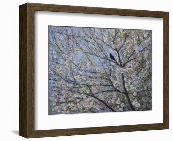 Blackbird Singing in Cherry Blossom-Ruth Addinall-Framed Giclee Print