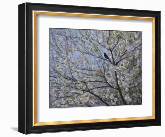 Blackbird Singing in Cherry Blossom-Ruth Addinall-Framed Giclee Print