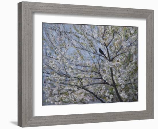 Blackbird Singing in Cherry Blossom-Ruth Addinall-Framed Giclee Print