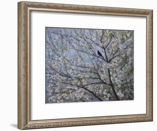 Blackbird Singing in Cherry Blossom-Ruth Addinall-Framed Giclee Print