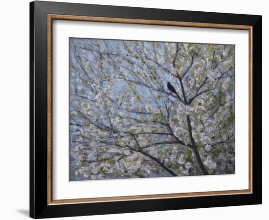 Blackbird Singing in Cherry Blossom-Ruth Addinall-Framed Giclee Print