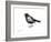 Blackbird-Suren Nersisyan-Framed Art Print