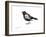 Blackbird-Suren Nersisyan-Framed Art Print