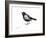 Blackbird-Suren Nersisyan-Framed Art Print