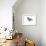 Blackbird-Suren Nersisyan-Framed Art Print displayed on a wall