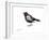 Blackbird-Suren Nersisyan-Framed Art Print