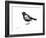 Blackbird-Suren Nersisyan-Framed Art Print