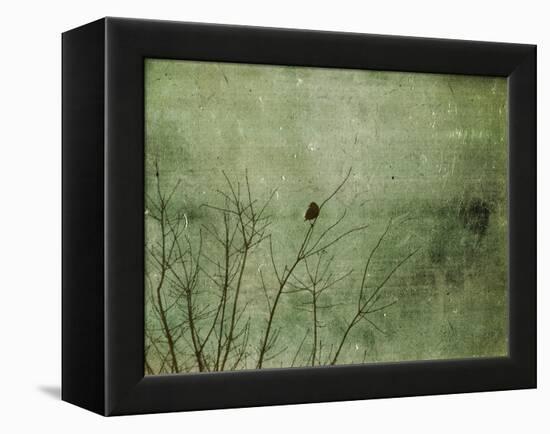 Blackbird-Christy Ann-Framed Premier Image Canvas