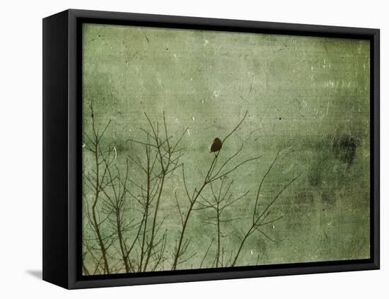 Blackbird-Christy Ann-Framed Premier Image Canvas