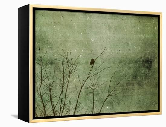 Blackbird-Christy Ann-Framed Premier Image Canvas