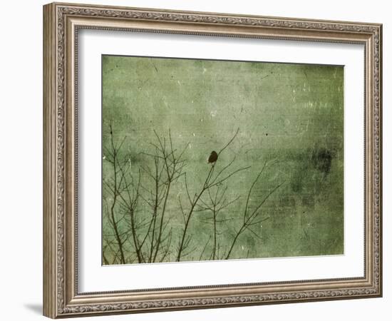 Blackbird-Christy Ann-Framed Giclee Print