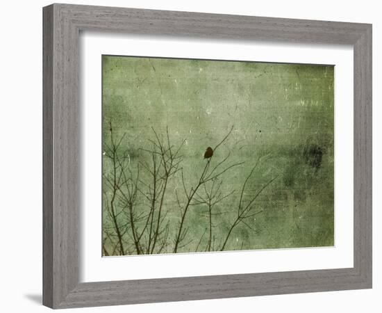 Blackbird-Christy Ann-Framed Giclee Print