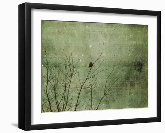 Blackbird-Christy Ann-Framed Giclee Print