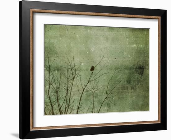 Blackbird-Christy Ann-Framed Giclee Print