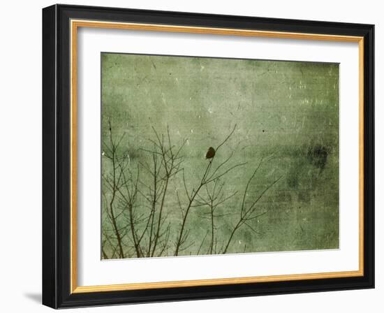 Blackbird-Christy Ann-Framed Giclee Print