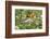 Blackburnian Warbler (Dendroica fusca) adult male foraging for insects in lantana garden-Larry Ditto-Framed Photographic Print