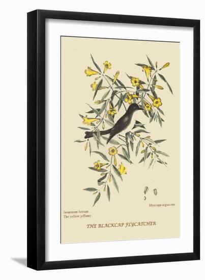 Blackcap Flycatcher-Mark Catesby-Framed Art Print