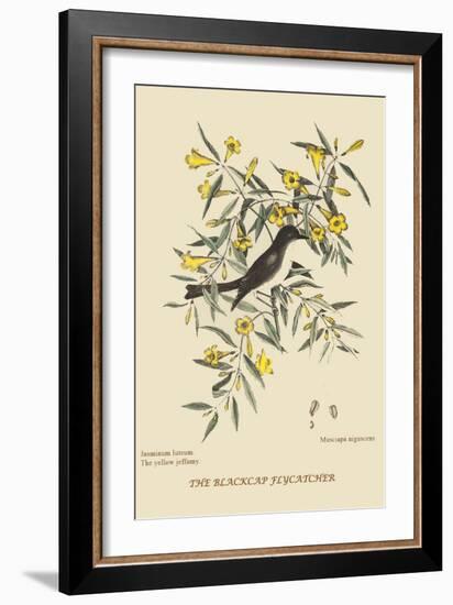 Blackcap Flycatcher-Mark Catesby-Framed Art Print