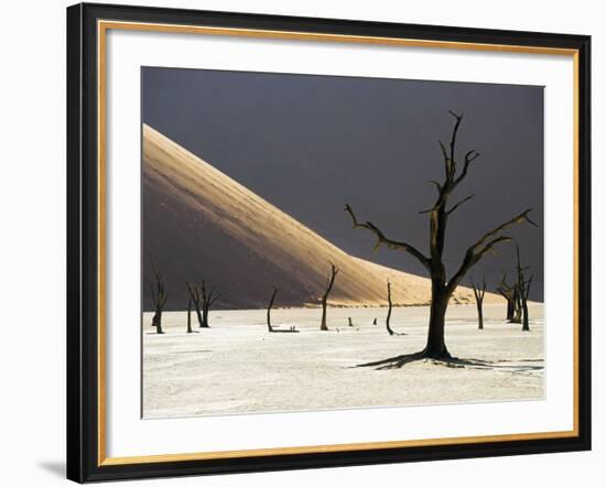 Blackened Camelthorn Trees in Dead Vlei, Near Sossusvlei, Namibia-Julian Love-Framed Photographic Print