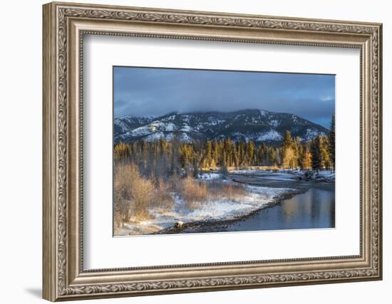 Blackfoot River at Sunrise Near Ovando, Montana, USA-Chuck Haney-Framed Photographic Print