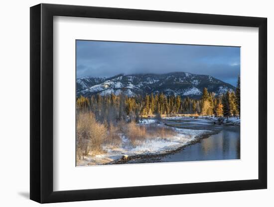 Blackfoot River at Sunrise Near Ovando, Montana, USA-Chuck Haney-Framed Photographic Print