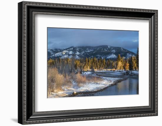 Blackfoot River at Sunrise Near Ovando, Montana, USA-Chuck Haney-Framed Photographic Print