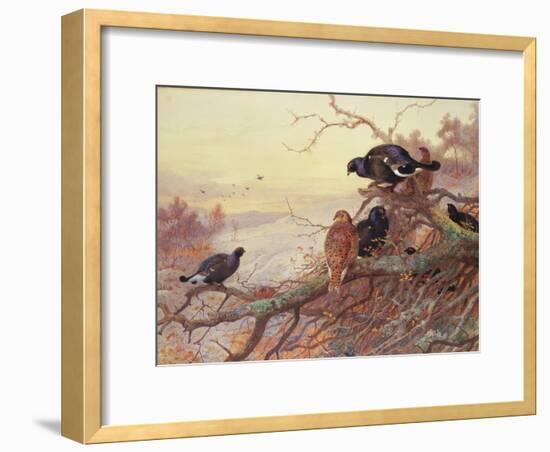 Blackgame in Winter-Archibald Thorburn-Framed Giclee Print