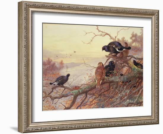 Blackgame in Winter-Archibald Thorburn-Framed Giclee Print