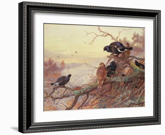 Blackgame in Winter-Archibald Thorburn-Framed Giclee Print