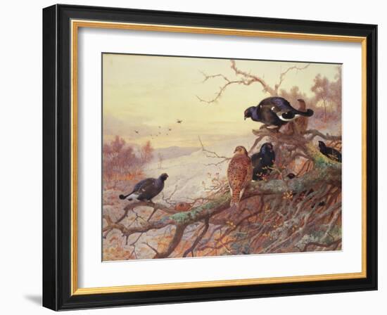 Blackgame in Winter-Archibald Thorburn-Framed Giclee Print