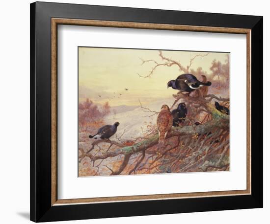 Blackgame in Winter-Archibald Thorburn-Framed Giclee Print