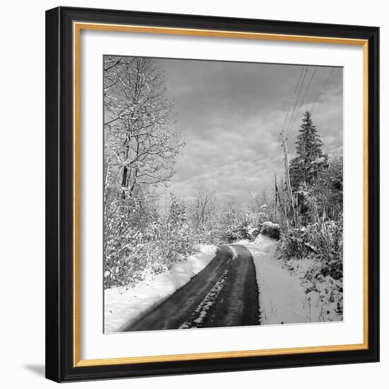 Blackjam-Tomislav Bogovic-Framed Photographic Print