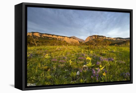 Blackleaf Canyon, Lewis and Clark National Forest, Montana, USA-Chuck Haney-Framed Premier Image Canvas