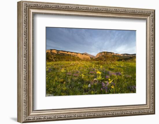 Blackleaf Canyon, Lewis and Clark National Forest, Montana, USA-Chuck Haney-Framed Photographic Print