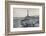 'Blackpool - View of the Front, Showing the Tower', 1895-Unknown-Framed Photographic Print