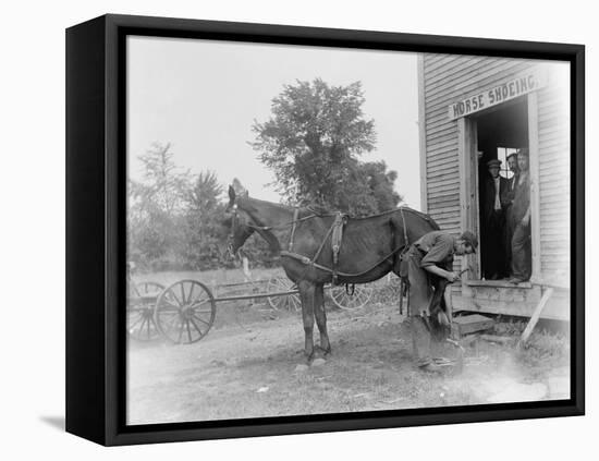 Blacksmith Shoeing a Horse-null-Framed Premier Image Canvas