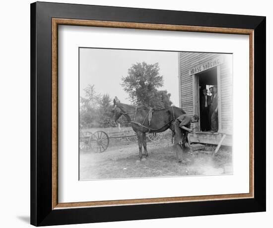 Blacksmith Shoeing a Horse-null-Framed Photographic Print