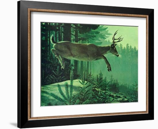 Blacktail Buck-Stan Galli-Framed Giclee Print