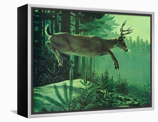 Blacktail Buck-Stan Galli-Framed Premier Image Canvas